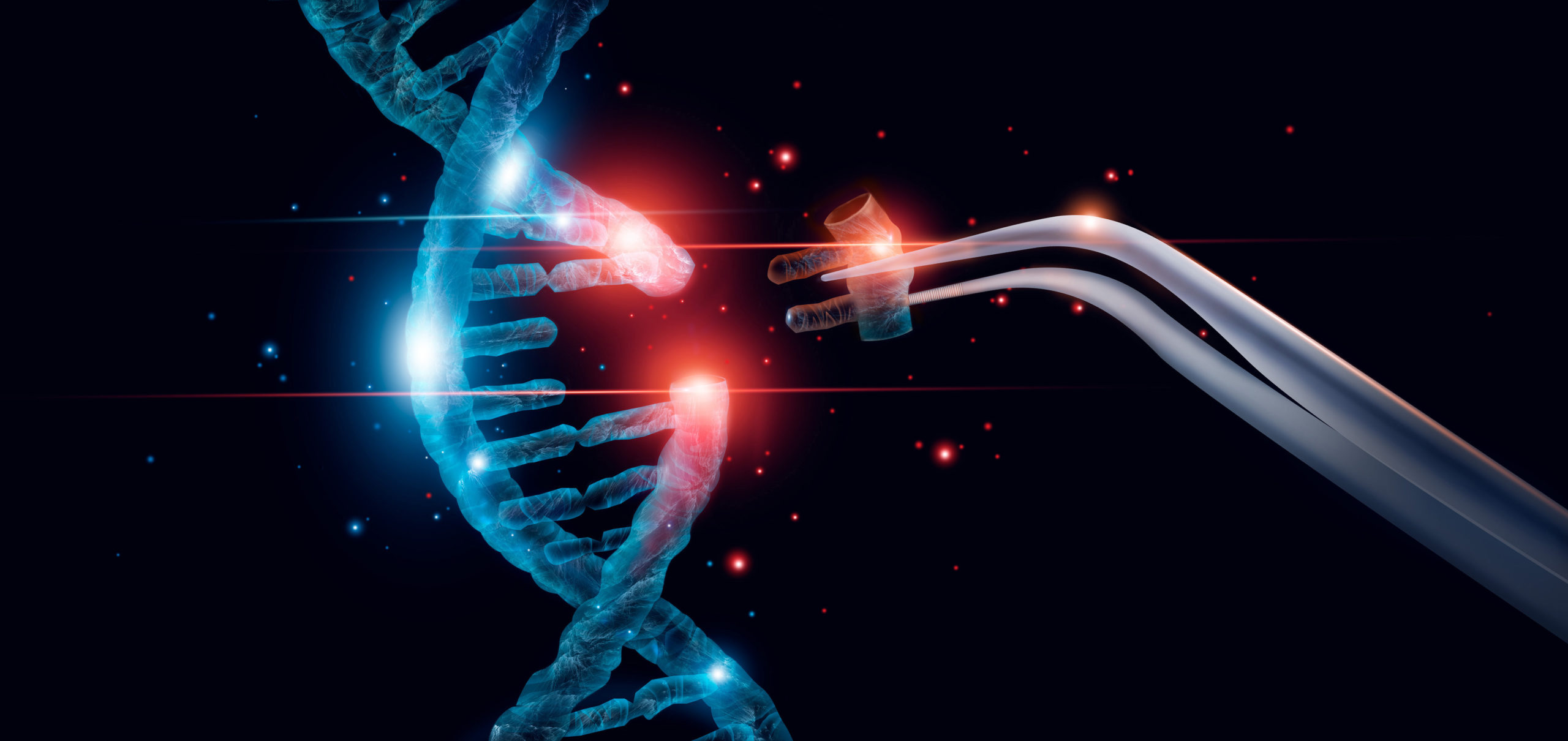 #5 A New Zealand perspective on growing and utilising genetically ...